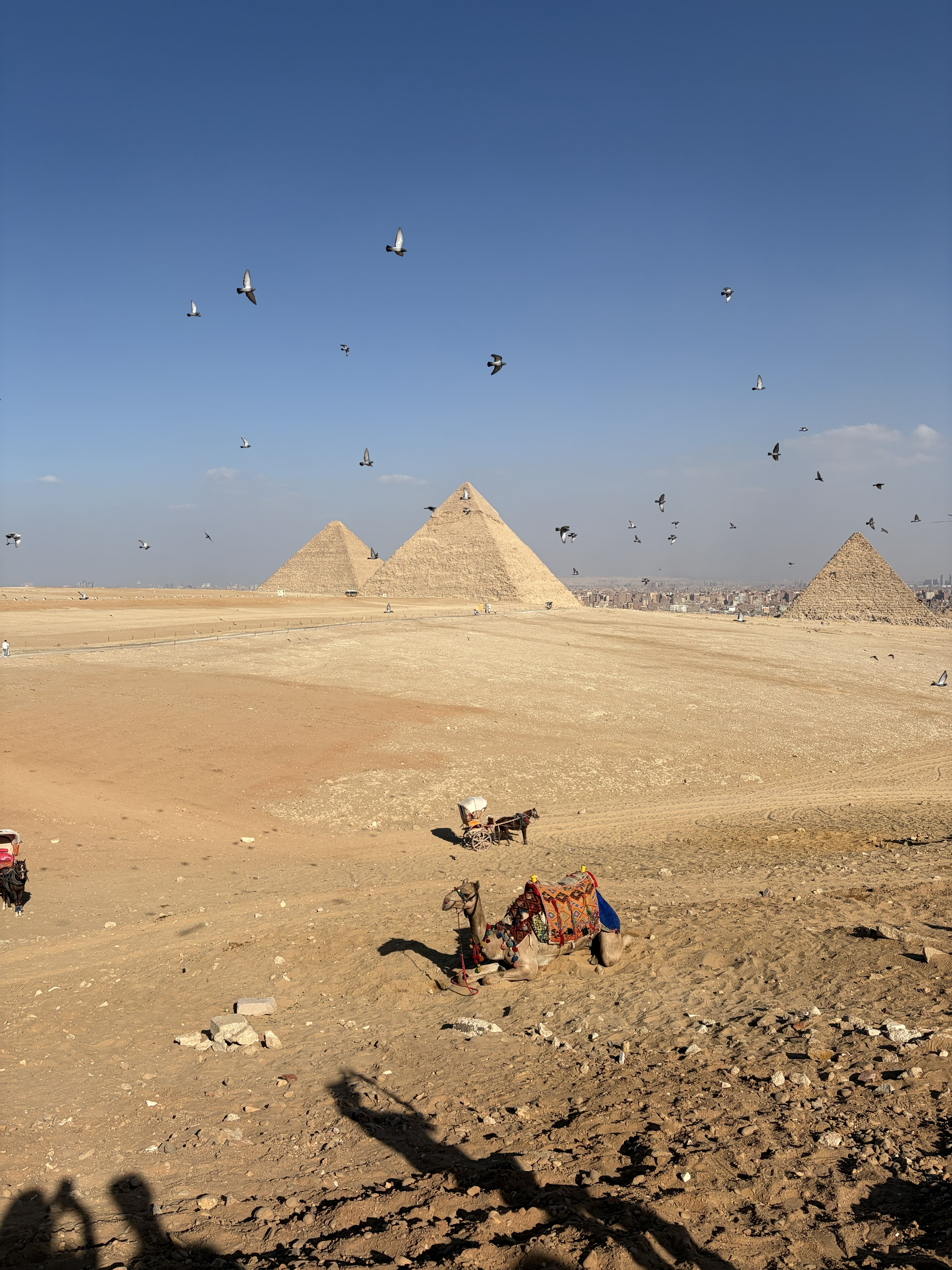 3 Wochen Ägypten: von der Wüste zum Nil und weiter ans Rote Meer