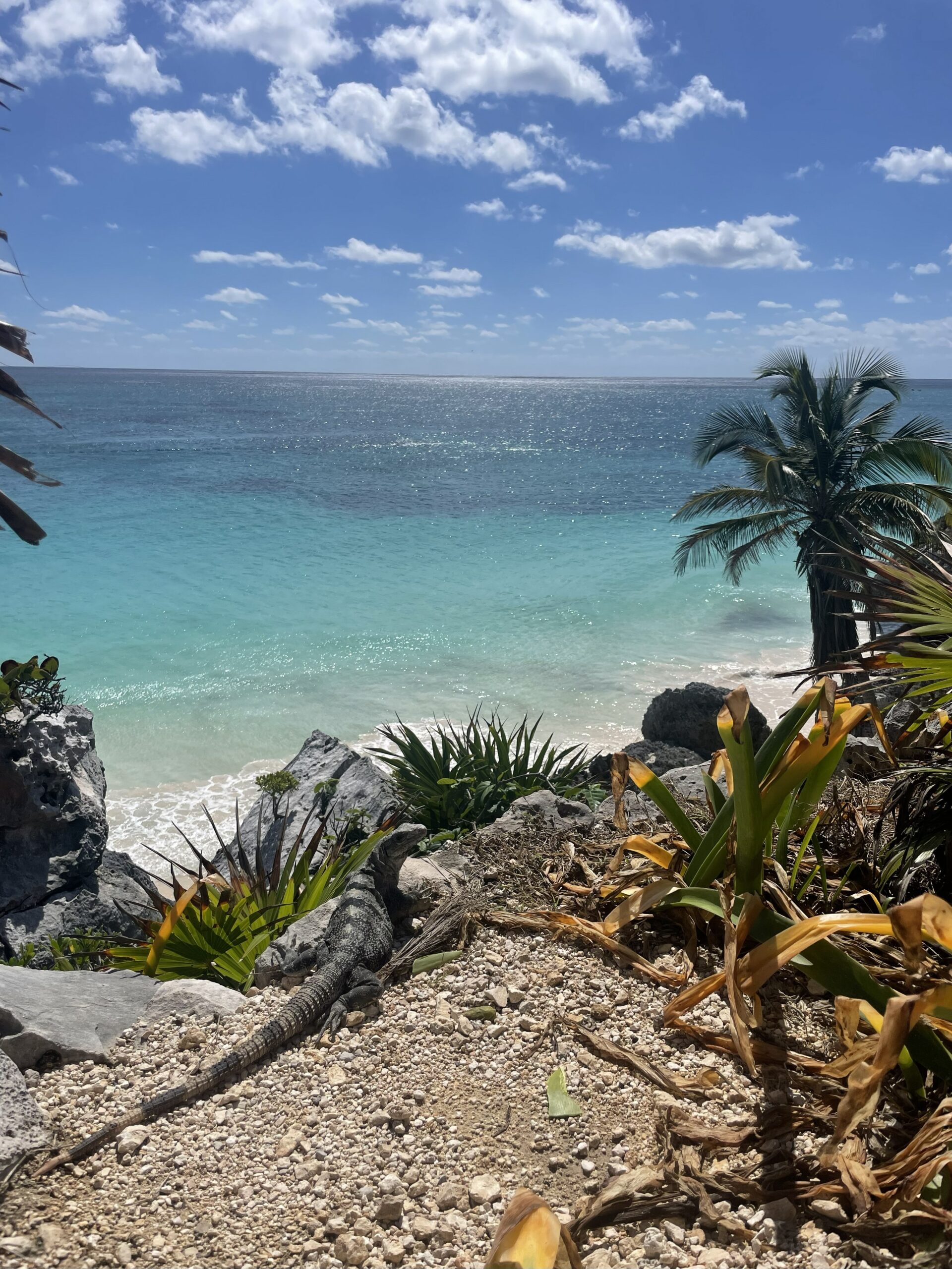 Zwei Wochen in Mexiko: Von Tulum über Bacalar und Valladolid bis nach Holbox